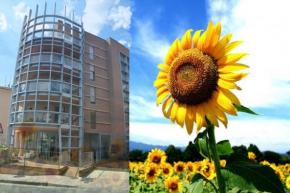 Casa dei girasoli Perugia